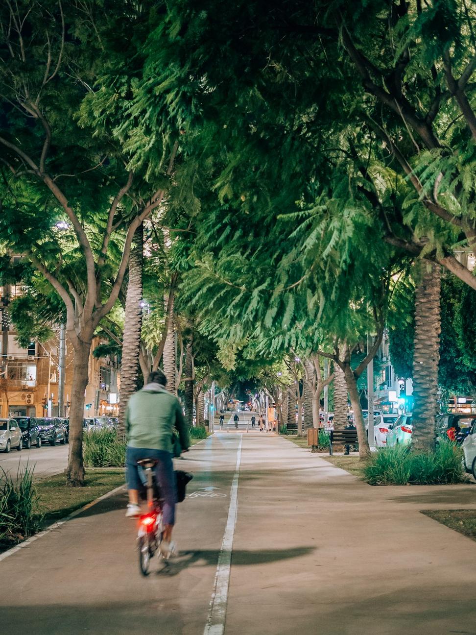 Street Design