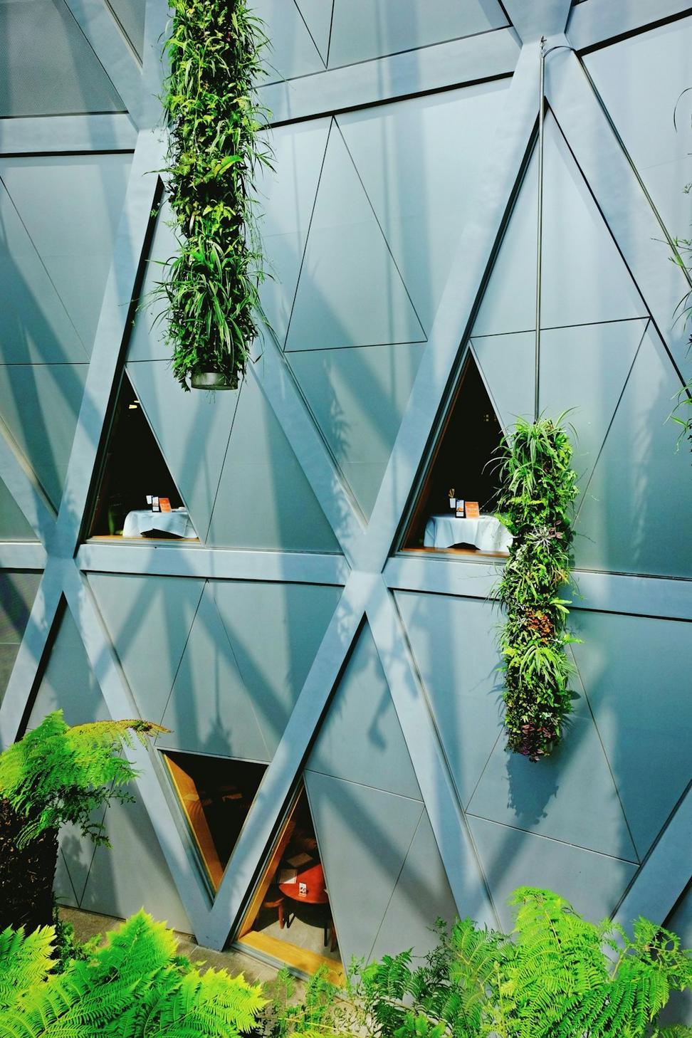 Eco Consultation Project